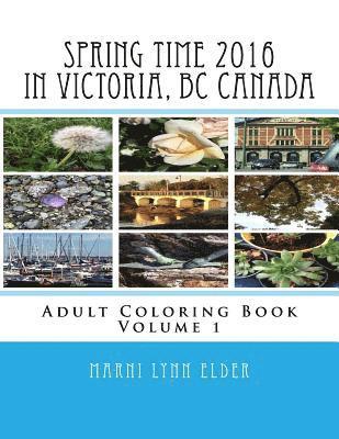 bokomslag Spring Time in Victoria, BC Canada: Adult Coloring Book Volume 1