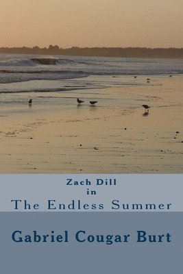 bokomslag Zach Dill in The Endless Summer