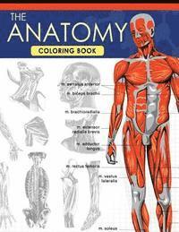 bokomslag The Anatomy Coloring Book: A Complete Study Guide (9th Edition)