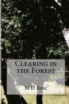 Clearing in the Forest 1