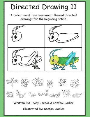 Directed Drawing-11-Insects 1