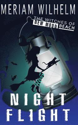 bokomslag Night Flight