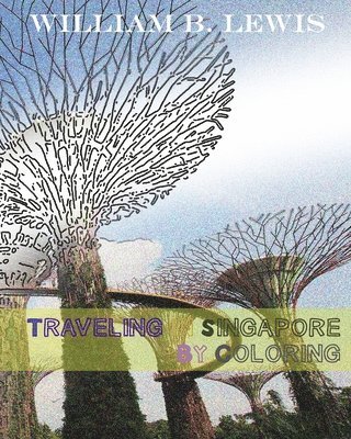 Traveling In Singapore By Coloring 1