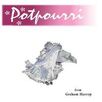 bokomslag Potpourri: The First Edition