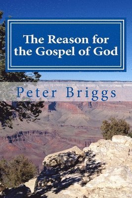 The Reason for the Gospel of God: Walking in the Way of Christ & the Apostles Study Guide Series, Part 3, Book 14 1