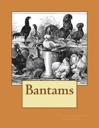 Bantams, Häftad. Tillgänglighet: Lägg i varukorg