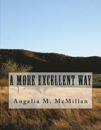 bokomslag "A More Excellent Way"