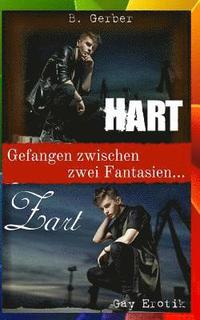 bokomslag Zart & Hart - Gefangen zwischen zwei Fantasien (Gay Erotik)