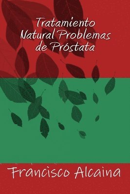 bokomslag Tratamiento Natural Problemas de Próstata