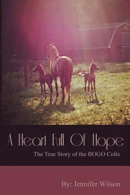 A Heart Full of Hope: The True Story of the BOGO Colts