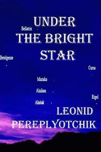 bokomslag Under the bright star