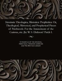 bokomslag Stromata Theologica, Historica
