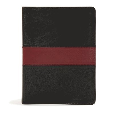 Holman Bible Publishers - Holman Bible Publishers: KJV Apologetics Study Bible, Black/, Inbunden