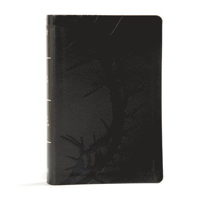 KJV Large Print Personal Size Reference Bible, Charcoal Leathertouch