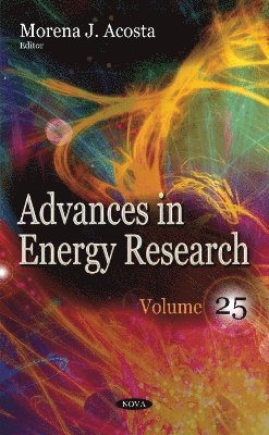 bokomslag Advances in Energy Research