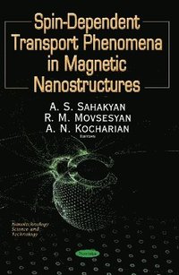 bokomslag Spin S=1/2 Dependent Phenomena of Fermions in Magnetic Nanostructures & Nanoelements