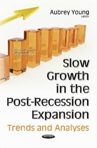 bokomslag Slow Growth in the Post-Recession Expansion