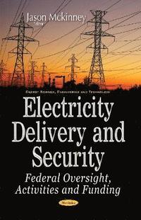 bokomslag Electricity Delivery & Security