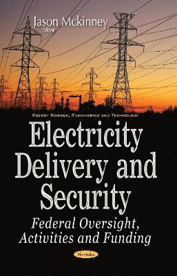 bokomslag Electricity Delivery & Security