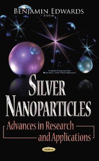 bokomslag Silver Nanoparticles