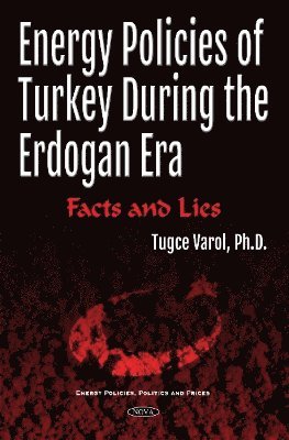 bokomslag Energy Policies of Turkey During the Erdogan Era