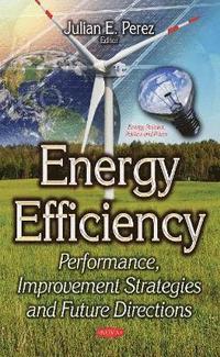 bokomslag Energy Efficiency