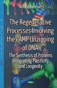 bokomslag Regenerative Processes Involving the cAMP Unzipping of DNA
