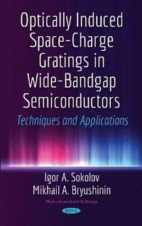 bokomslag Optically Induced Space-Charge Gratings in Wide-Bandgap Semiconductors
