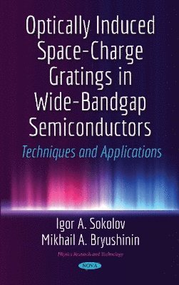 bokomslag Optically Induced Space-Charge Gratings in Wide-Bandgap Semiconductors