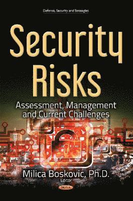 bokomslag Security Risks