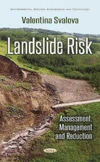 bokomslag Landslide Risk