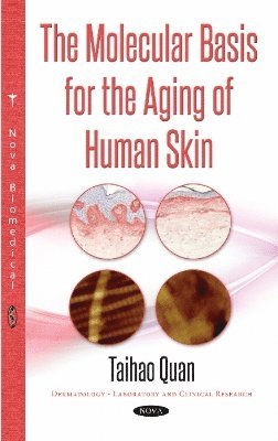 bokomslag Molecular Basis for the Aging of Human Skin