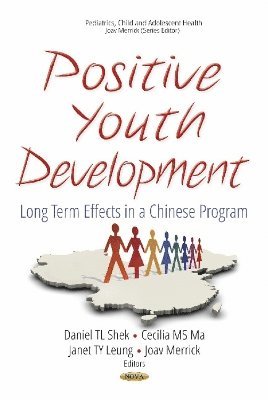 bokomslag Positive Youth Development