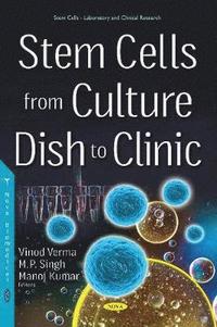 bokomslag Stem Cells from Culture Dish to Clinic