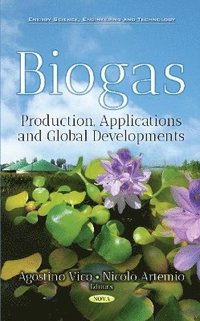 bokomslag Biogas