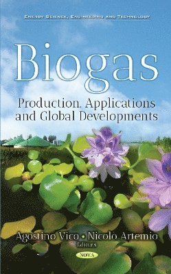 bokomslag Biogas