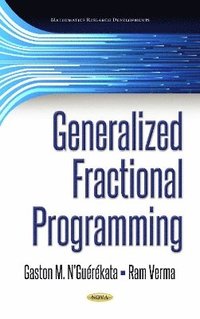 bokomslag Generalized Fractional Programming