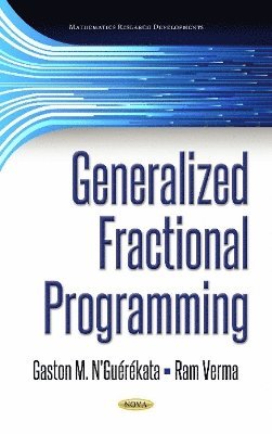 bokomslag Generalized Fractional Programming