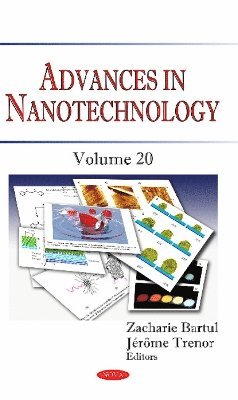 bokomslag Advances in Nanotechnology