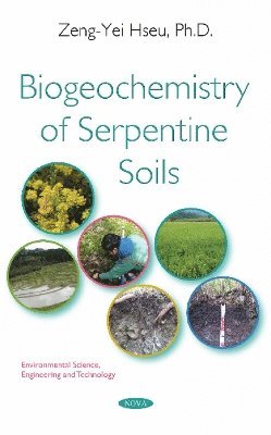bokomslag Biogeochemistry of Serpentine Soils