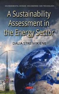 bokomslag A Sustainability Assessment in the Energy Sector