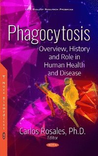 bokomslag Phagocytosis