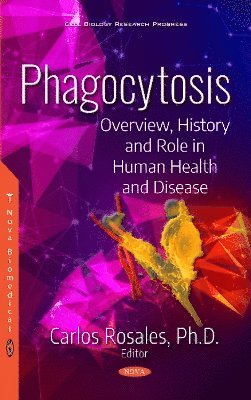 bokomslag Phagocytosis