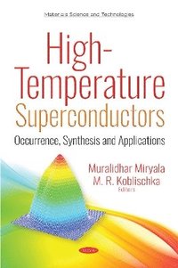 bokomslag High-Temperature Superconductors