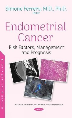 bokomslag Endometrial Cancer