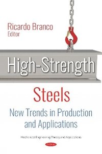 bokomslag High-Strength Steels