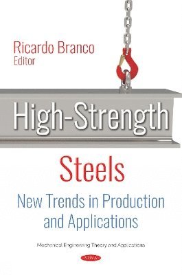 bokomslag High-Strength Steels