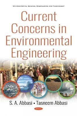 bokomslag Current Concerns in Environmental Engineering