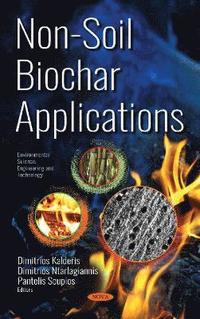 bokomslag Non-Soil Biochar Applications