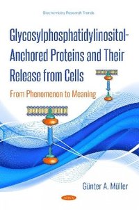 bokomslag Glycosylphosphatidylinositol-Anchored Proteins and Their Release from Cells